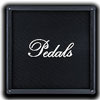 Logo Pedals VST Ícone Logo Pedals VST Ícone
