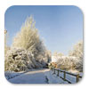 Logo Freezing Winter Windows 7 Theme Ícone Logo Freezing Winter Windows 7 Theme Ícone