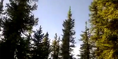 Imagem de: Barulhos estranhos no céu assustam pessoas de todo o mundo