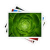Logo SlidePhoto Ícone Logo SlidePhoto Ícone