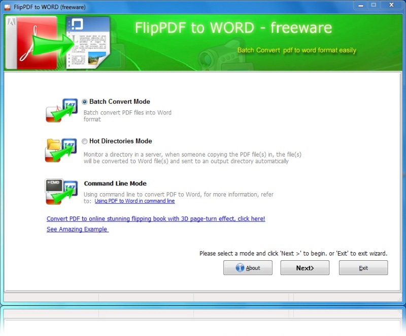 flip pictures in word