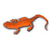 Logo NEWT Professional Ícone Logo NEWT Professional Ícone
