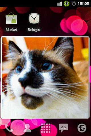 Slideshow (Homescreen Widget) - Imagem 1 do software