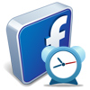 Logo Facebook Nanny Ícone Logo Facebook Nanny Ícone