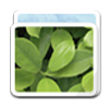 Logo Hyrokumata Image Converter Ícone Logo Hyrokumata Image Converter Ícone
