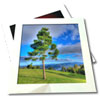 Logo Photo Tangler Collage Maker Ícone Logo Photo Tangler Collage Maker Ícone