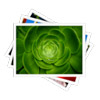 Logo WebP Codec Ícone Logo WebP Codec Ícone