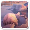 Logo Swedish Winter Windows 8 Theme Ícone Logo Swedish Winter Windows 8 Theme Ícone