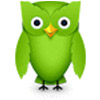 Logo Duolingo Ícone Logo Duolingo Ícone