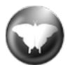 Logo Qmmp Ícone Logo Qmmp Ícone
