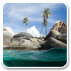 Logo Tema Praias Caribenhas Ícone Logo Tema Praias Caribenhas Ícone