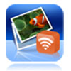 Logo Wireless Transfer App for Windows Ícone Logo Wireless Transfer App for Windows Ícone
