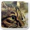 Logo December 2012 Calendar Windows 7 Theme Ícone Logo December 2012 Calendar Windows 7 Theme Ícone