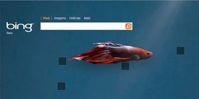 Imagem de: Bing ganha peixe Betta para promover Windows 8