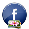 Logo Capas para Facebook Ícone Logo Capas para Facebook Ícone