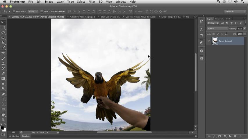 free photoshop cs6 download