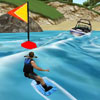Logo Wakeboard Pro Ícone Logo Wakeboard Pro Ícone