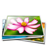 Logo Pinterest Image Expander Ícone Logo Pinterest Image Expander Ícone