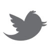 Logo Silver Bird Plus Ícone Logo Silver Bird Plus Ícone