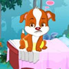 Logo Cure My Baby Animals Ícone Logo Cure My Baby Animals Ícone