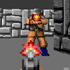 Logo Wolfenstein 3D Online Ícone