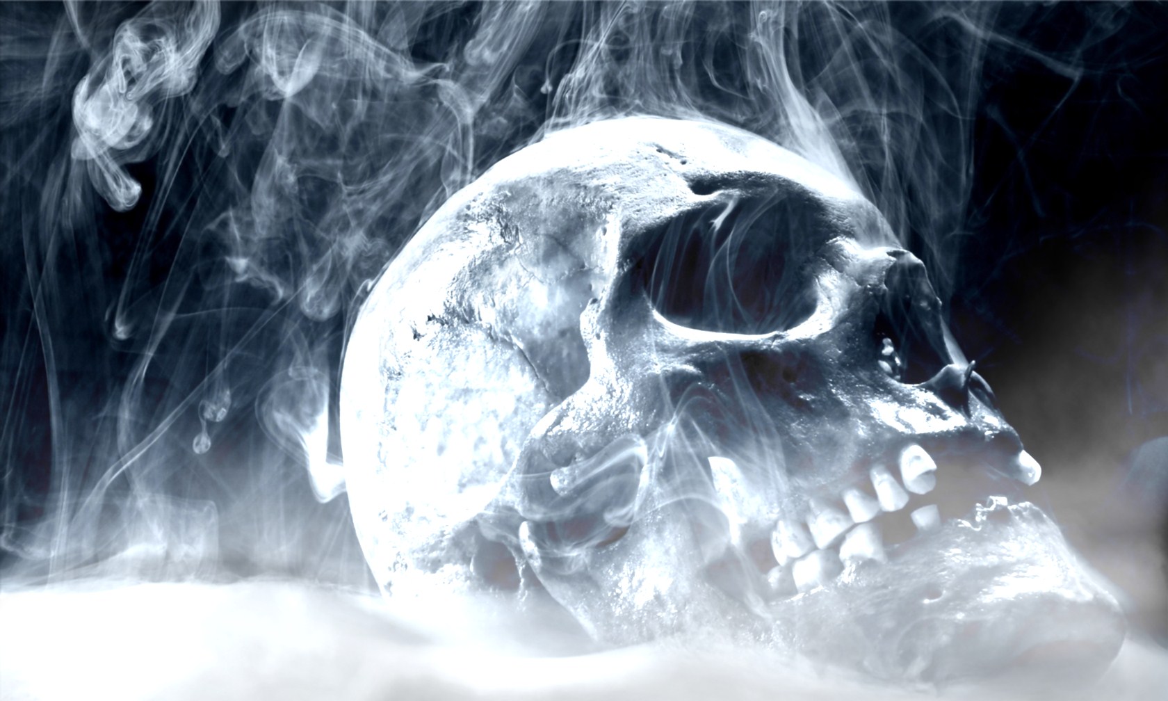 Fire Skull Animated Wallpapers Download