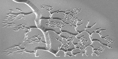 Imagem de: Nanoimpressão 3D cria estruturas biocompatíveis, como vasos sanguíneos