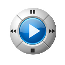 j river media center video flash on screen