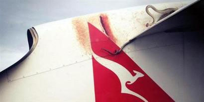 Imagem de: Serpente de 3 metros é flagrada viajando em asa de avião