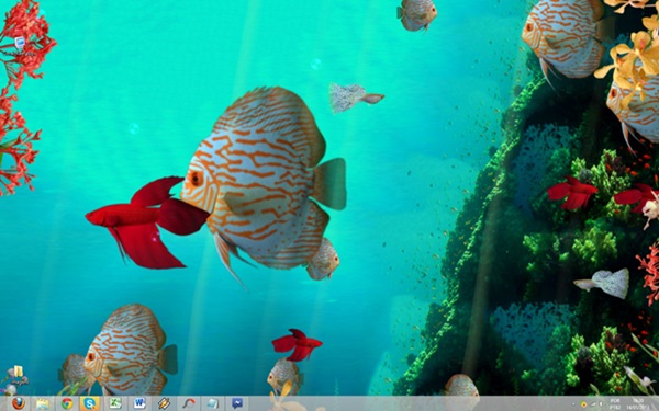 Coral Reef Aquarium 3d Download