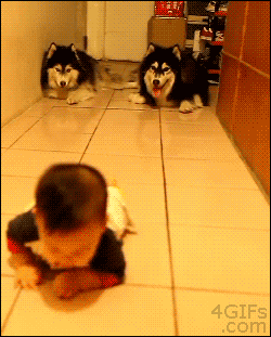 3053179131118243.gif