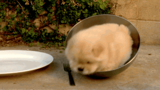 3053179131118558.gif