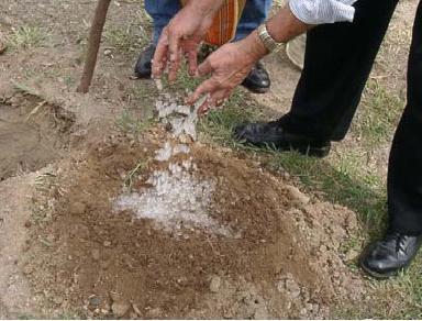 Chuva sólida: pó criado por mexicano pode solucionar a seca