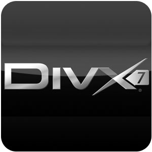 Logo DivX Plus Ícone Logo DivX Plus Ícone