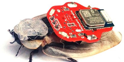 Imagem de: Aparato bizarro permite que crianças controlem baratas via smartphone