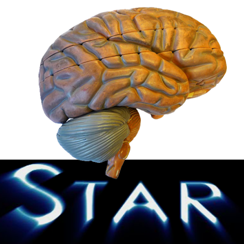 Logo Anatomy Star - CNS (the Brain) Ícone Logo Anatomy Star - CNS (the Brain) Ícone
