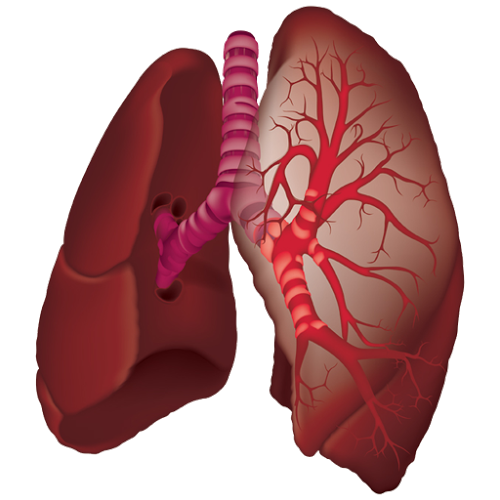 Logo Ausculta Pulmonar Ícone Logo Ausculta Pulmonar Ícone