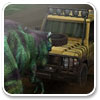 Logo Tyrannosaurus Run Ícone Logo Tyrannosaurus Run Ícone