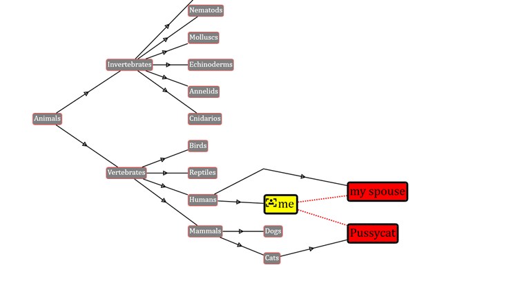 Imagem 4 do NextGraph