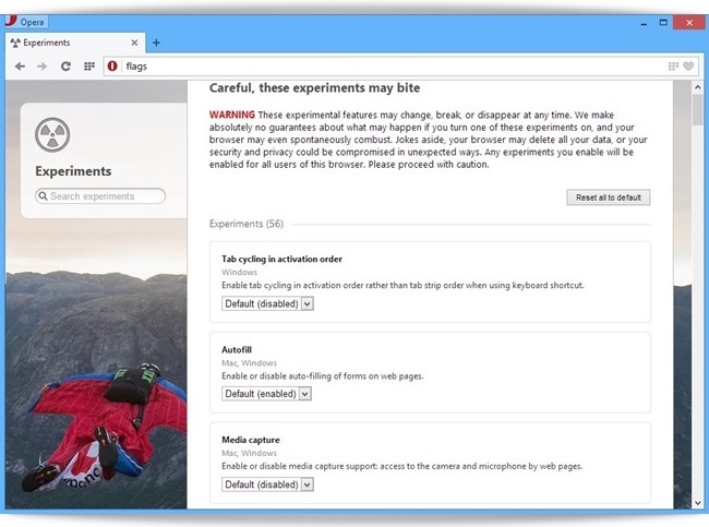 Opera Next screenshot 11