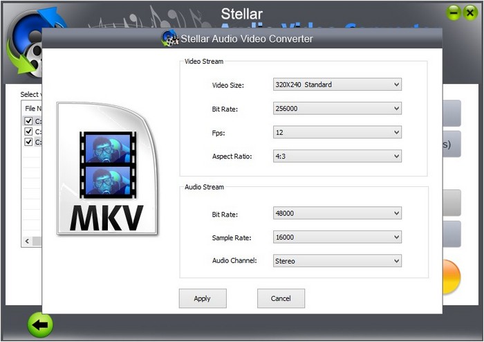 stellar audio video converter