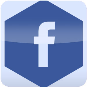 Logo Facebook Album Downloader Ícone Logo Facebook Album Downloader Ícone