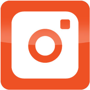 Logo TinyTake Ícone Logo TinyTake Ícone