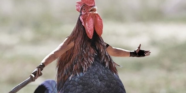 Imagem de: 50 websites para você passar o dia todo navegando [lista]