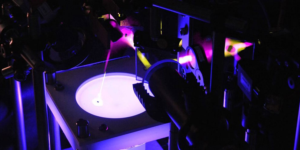 Imagem de: Laser controla a mente das moscas para que elas cantem e dancem