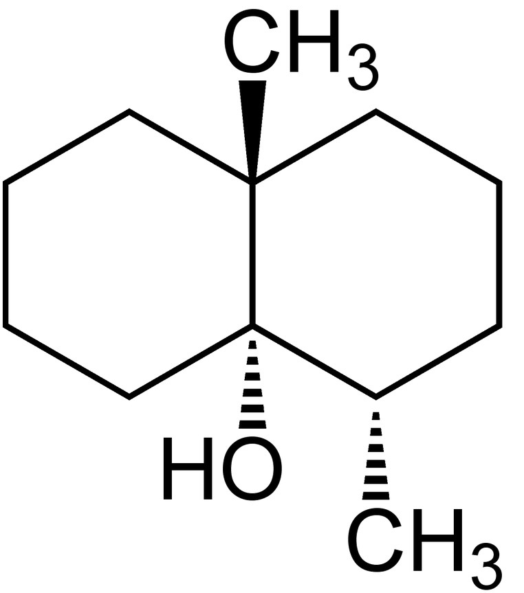 Reprodução/Wikimedia Commons
