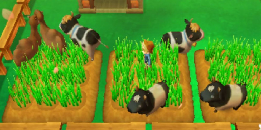 Story of Seasons é o novo “Harvest Moon" para 3DS que será lançado este ano