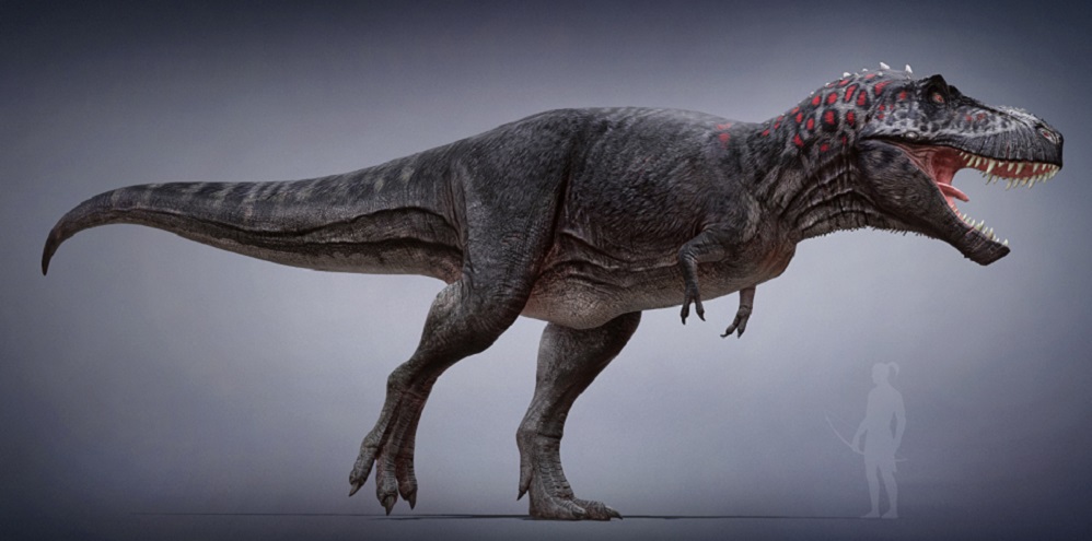 The Stomping Land - Novo trailer