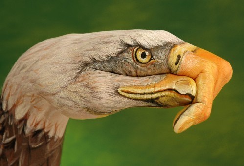 Guido Daniele
