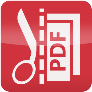 'Logo Avast for Business Premium Endpoint Security 1.0 Ícone